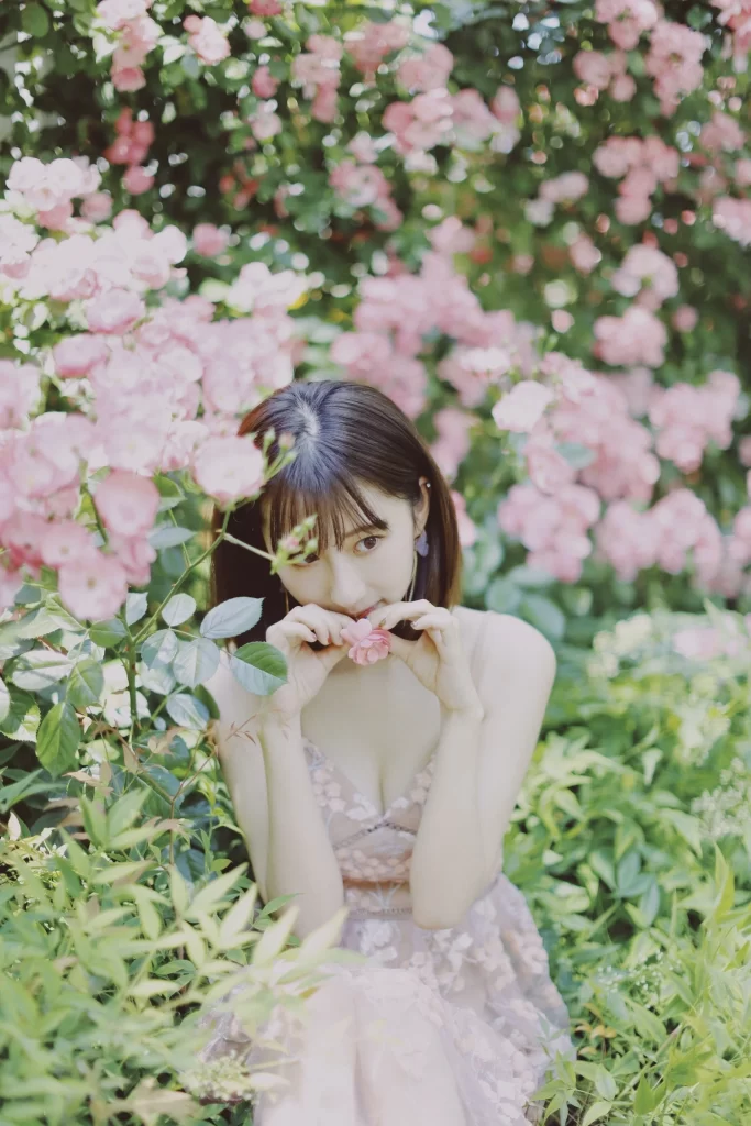 Pink Rose Petals Bloom gray Garden