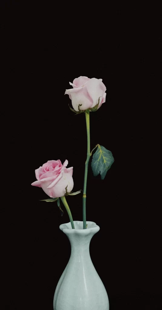 Pink Rose Petals Vase Green Leaf
