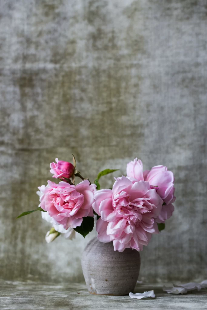 Pink Roses Petals Vase Texture Soft