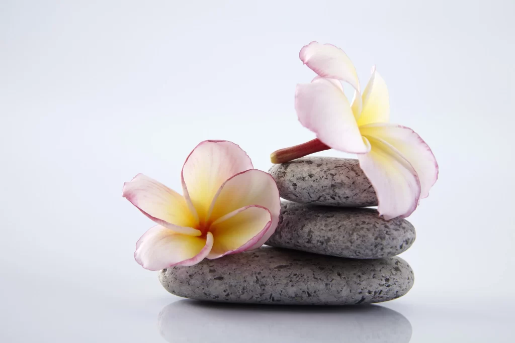 Pink Yellow Plumeria Petals Stone white Stack