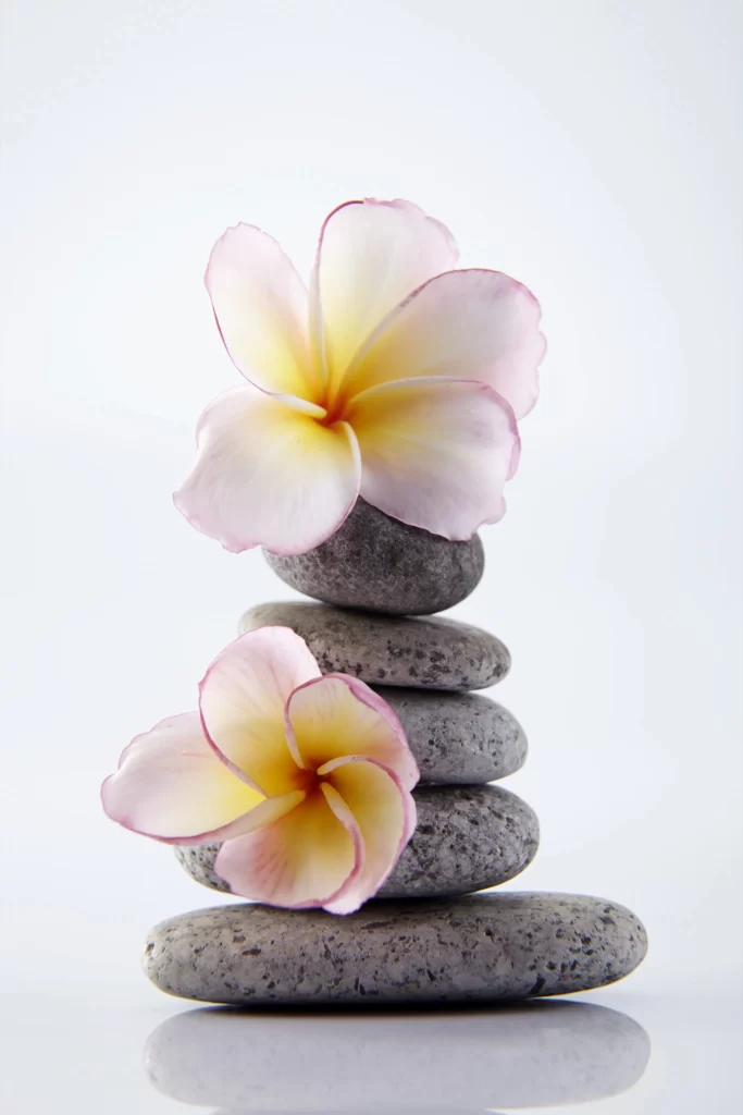 Pink Yellow Plumeria Petals Stone white Stack