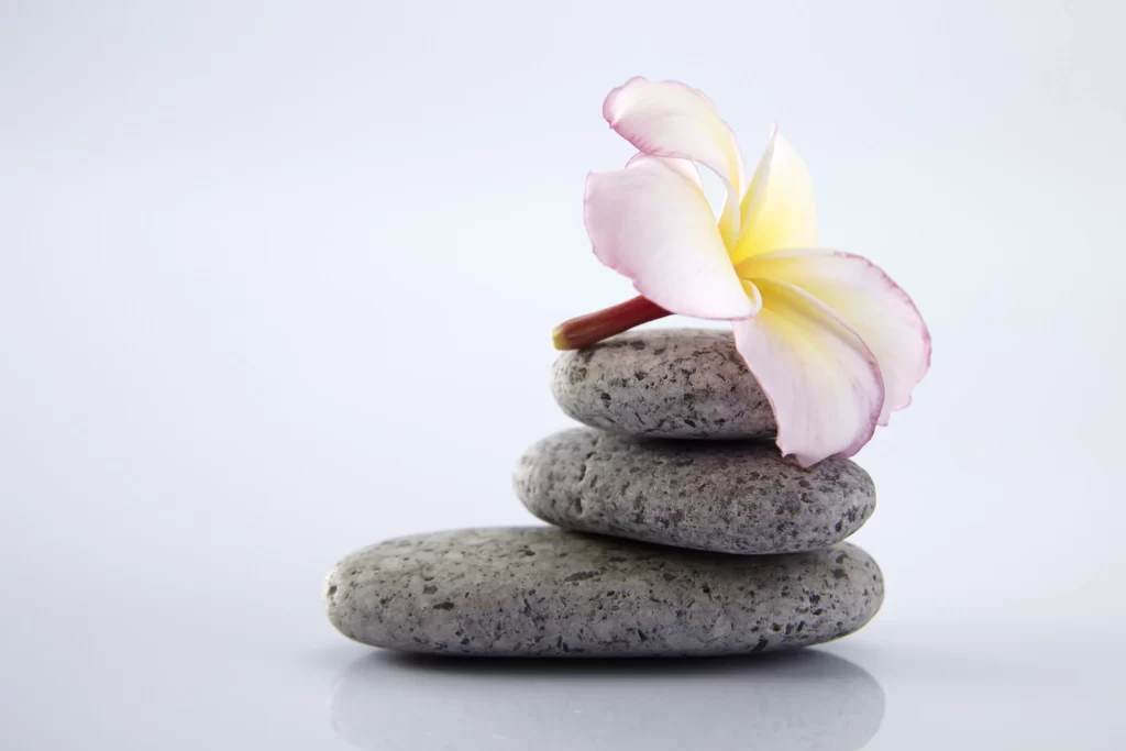 Pink Yellow Plumeria Petals Stone white Stack