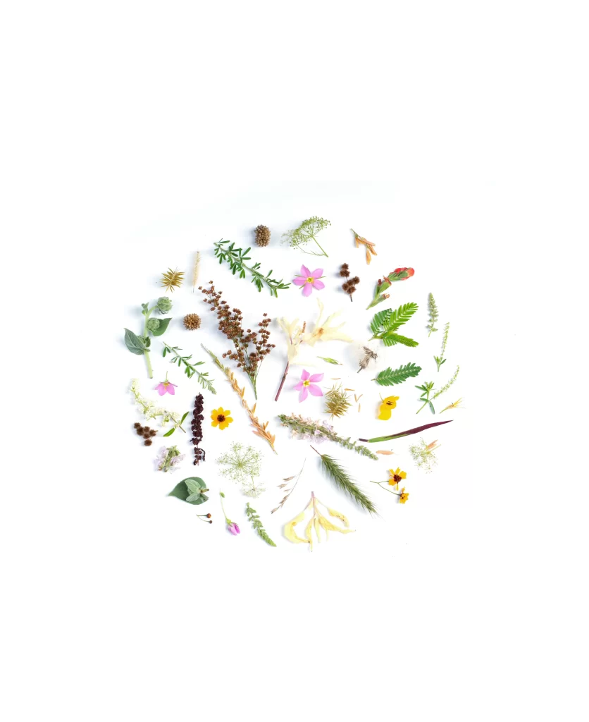 Pink Yellow White Green Brown