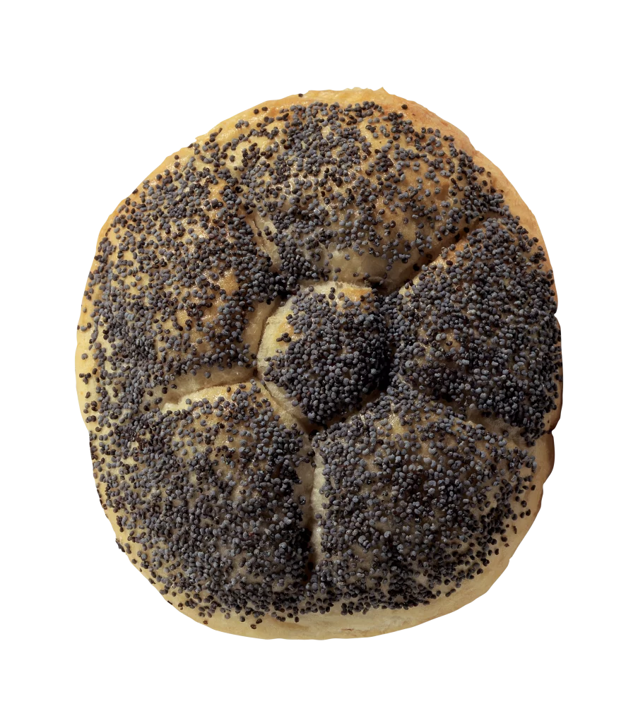 Poppy Seed Bagel Round Golden Crispy Crunchy