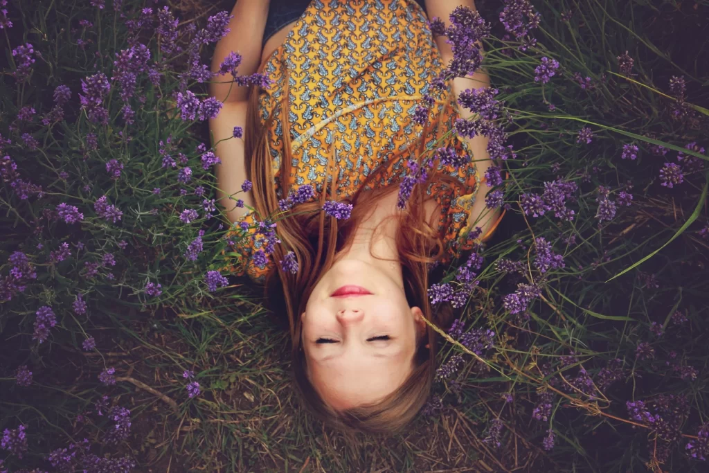 Purple Lavender Bloom Petals gray Greenery