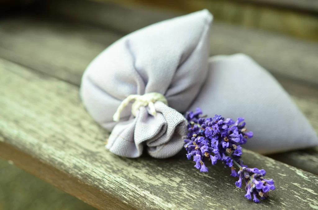 Purple Lavender Bloom Petals Fragrance
