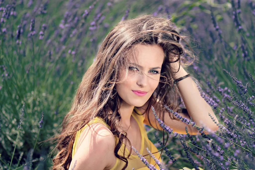 Purple Lavender Bushy Blooms gray Field
