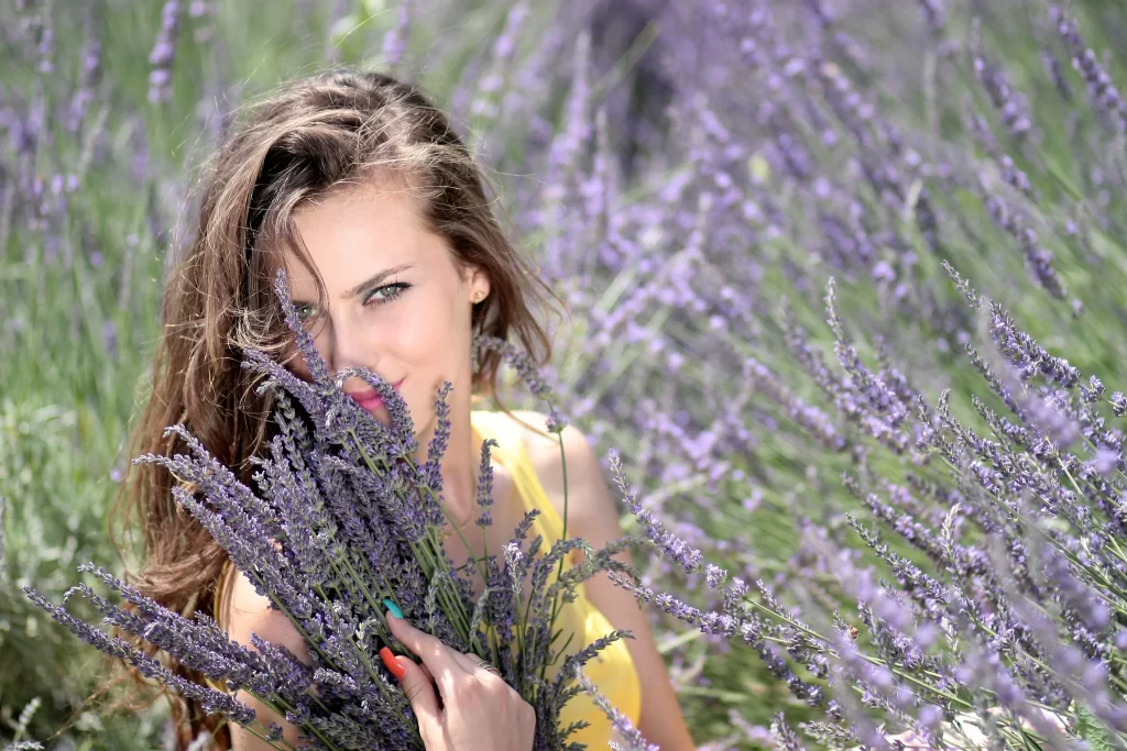 Purple Lavender Bushy Blooms gray Field