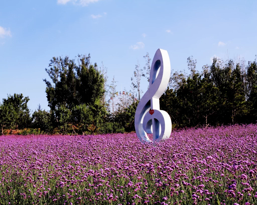 Purple Lavender Field Blooming Nature