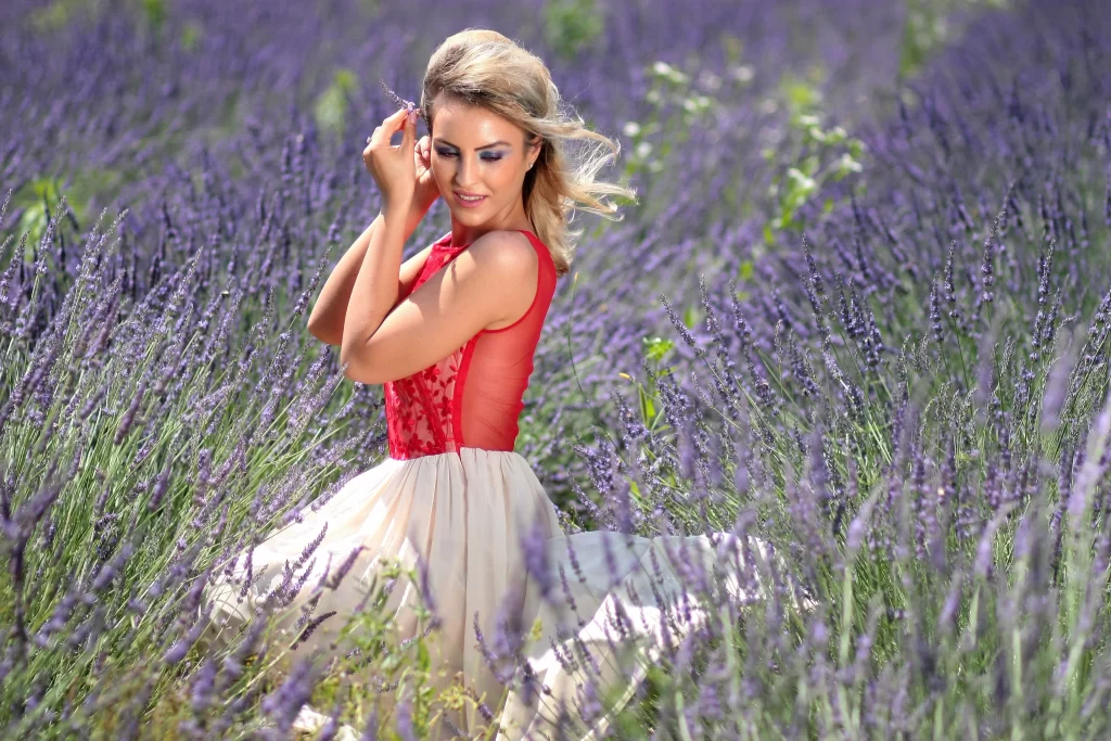 Purple Lavender Field Blooms gray Greenery