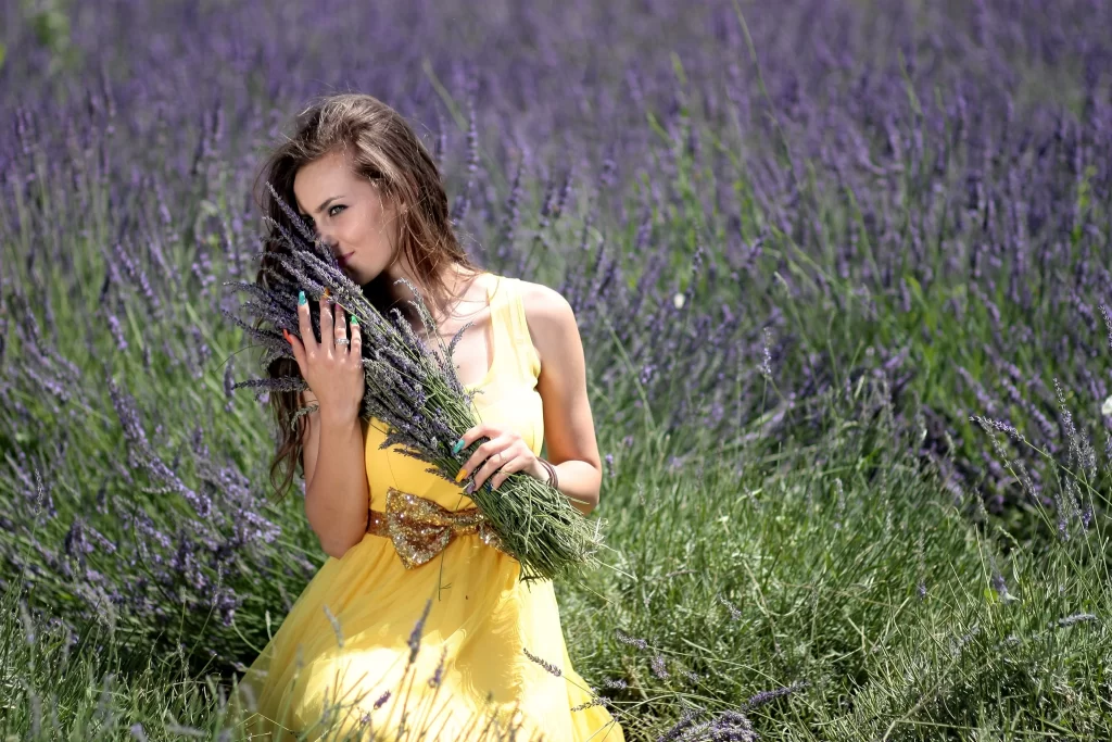 Purple Lavender Field Blooming gray Greenery