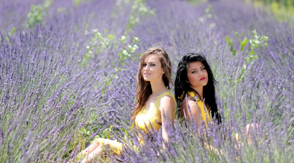 Purple Lavender Field Blooms gray Greenery