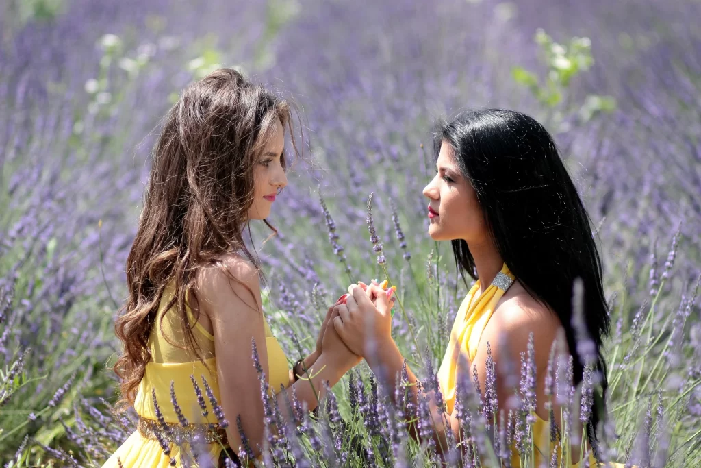 Purple Lavender Field Blooming gray Flowers