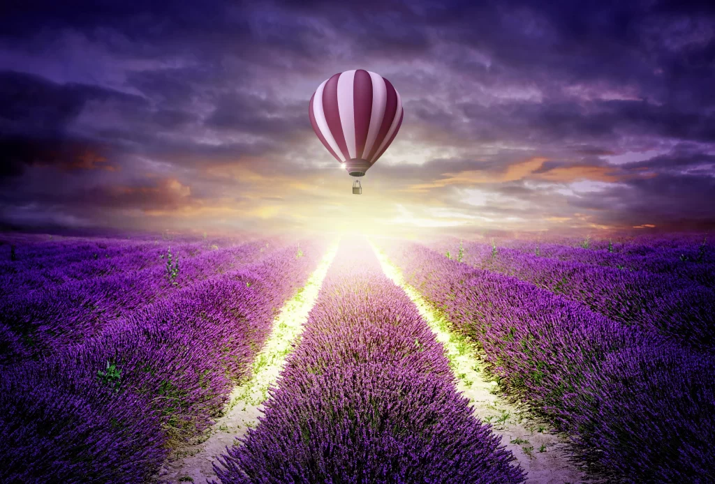 Purple Lavender Field HotAirBalloon Sunset