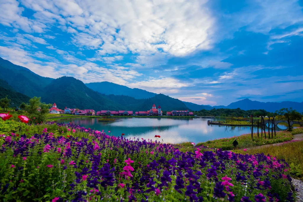 Purple Pink Flowers Blooming Scenic Landscape