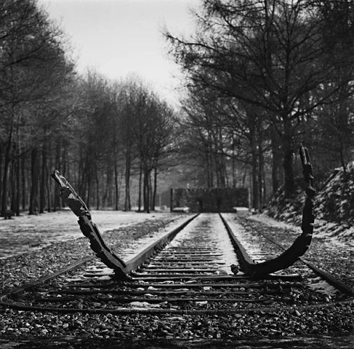 Railroad Tracks Dramatic High Contrast Mysterious Nature
