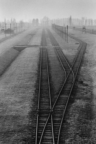 Railroad Tracks Foggy Dramatic Atmospheric Mysterious