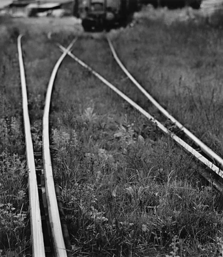 Railway Tracks Nature High Contrast Mysterious Atmospheric