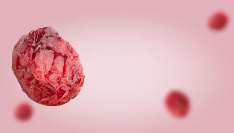 Red Blood Cell Pink Detailed Texture