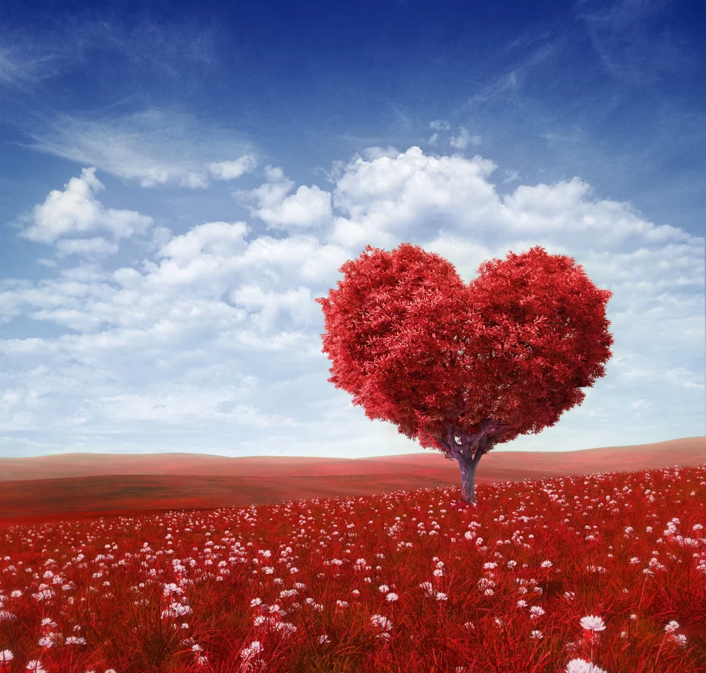 Red Heart-shaped Tree Blooming White Flowers Sky