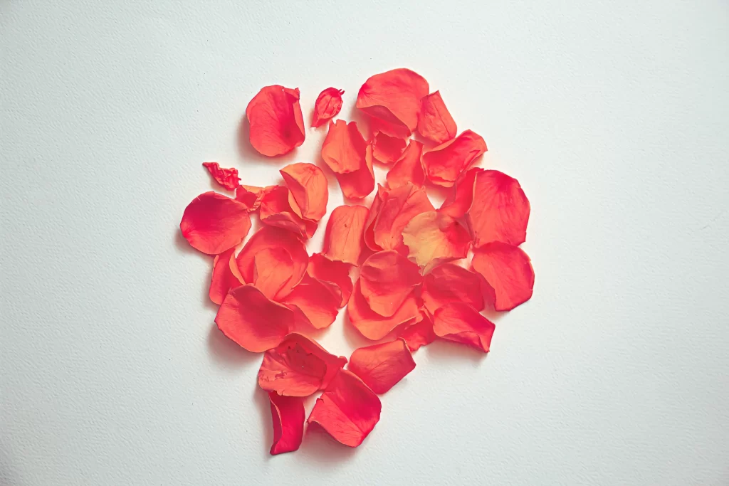 Red Rose Petals Heart Shape