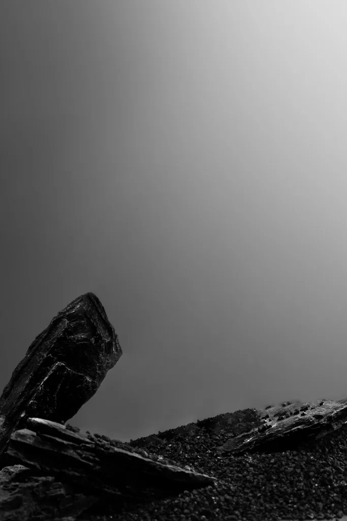 Rocky Terrain Monochrome Abstract Textured