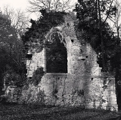 Ruins Gothic Window Nature Textured High Contrast Mysterious