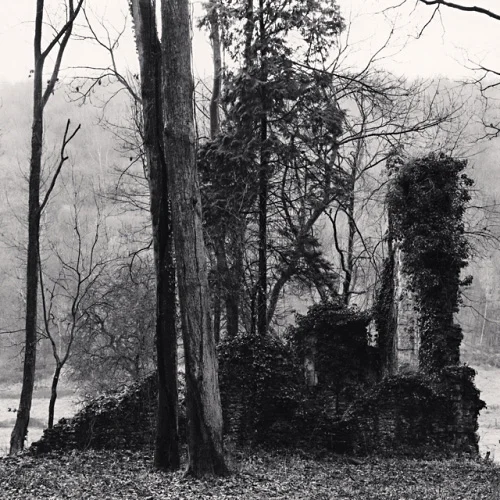 Ruins Nature Textured High Contrast Mysterious Atmospheric
