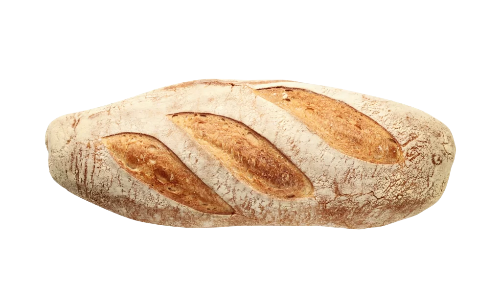 Rustic Sourdough Crusty Artisan Baked