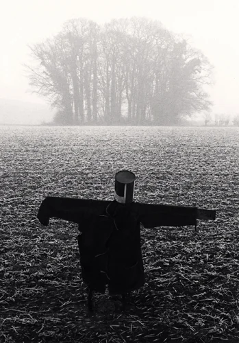 Scarecrow Foggy Dramatic Textured High Contrast Mysterious