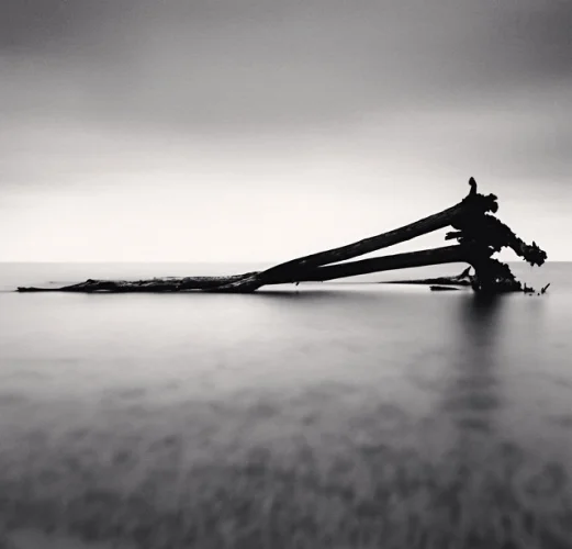 Seascape Driftwood Minimalist High Contrast Mysterious