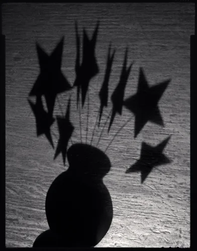 Shadow Silhouette Vase Stars High Contrast Dramatic