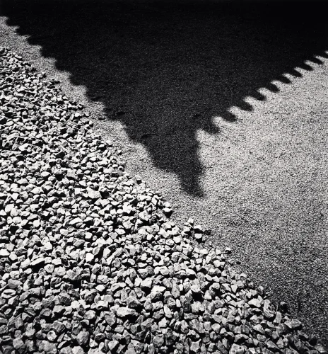 Shadow Textured High Contrast Dramatic Nature