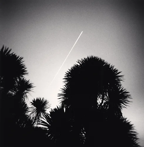Silhouette Trees Sky Contrail High Contrast Dramatic Nature