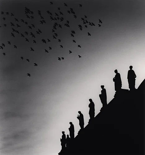Silhouettes Birds Skyline High Contrast Dramatic Cityscape
