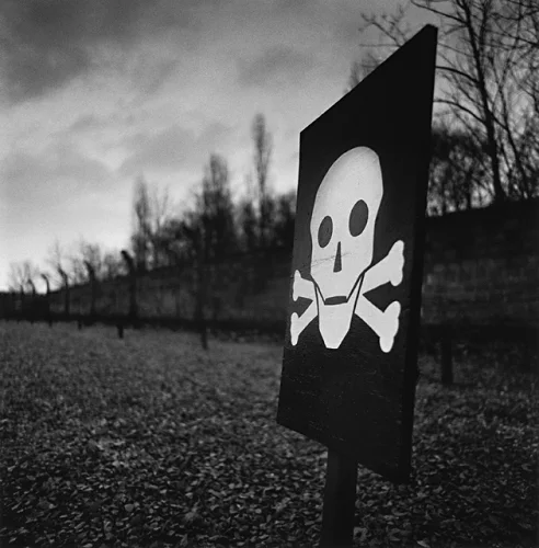 Skull and Crossbones Monument High Contrast Mysterious