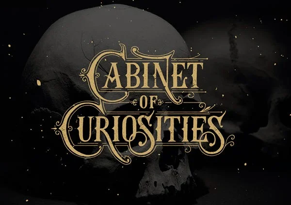 Skull Black Gold Cabinet Curiosities