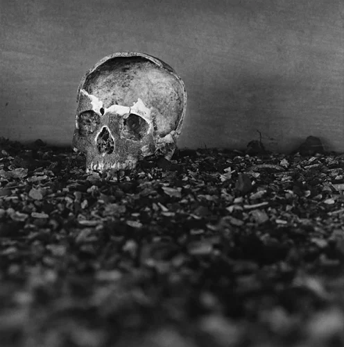 Skull Gravel Dramatic High Contrast Mysterious