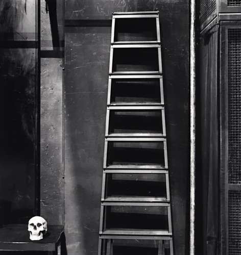 Skull Ladder Dramatic High Contrast Mysterious