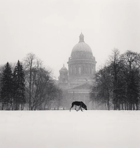 Snowy Cityscape Dramatic High Contrast Atmospheric