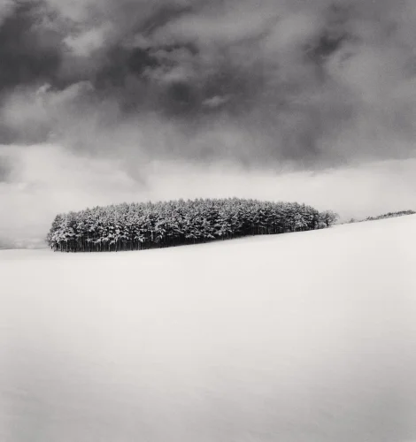 Snowy Forest Minimalist High Contrast Dramatic Atmospheric
