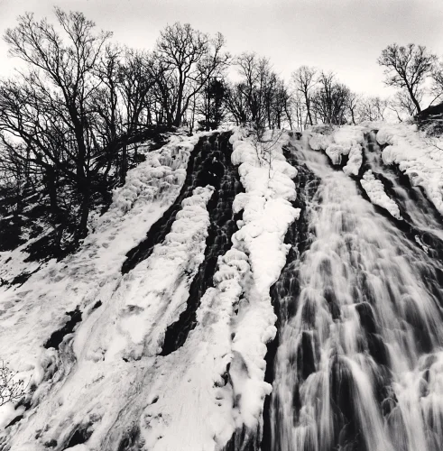 Snowy Waterfall Trees Winter High Contrast Nature