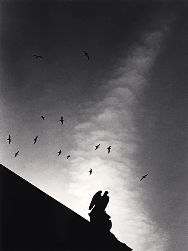 Statue Birds Sky High Contrast Dramatic Atmospheric