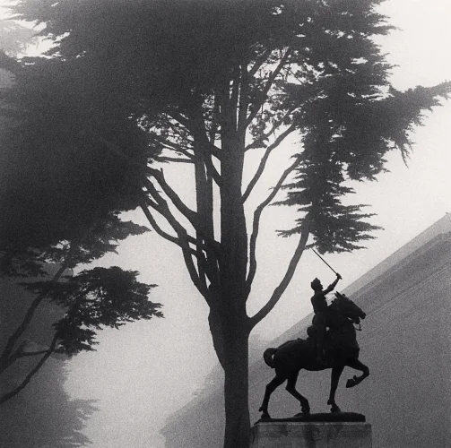 Statue Dramatic High Contrast Moody Nature