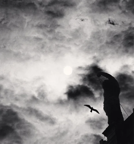 Statue Dramatic High Contrast Moody Atmospheric