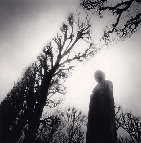 Statue Dramatic High Contrast Mysterious Atmospheric Nature
