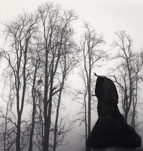 Statue Dramatic High Contrast Mysterious Atmospheric Forest