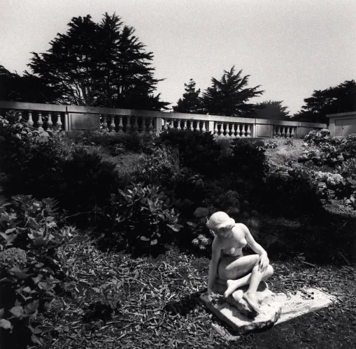 Statue Dramatic High Contrast Mysterious Garden