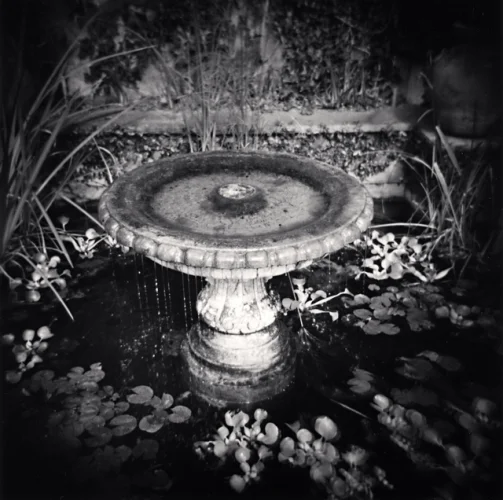 Statue Dramatic Textured High Contrast Mysterious