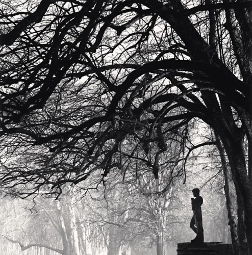 Statue Dramatic Textured High Contrast Moody Nature